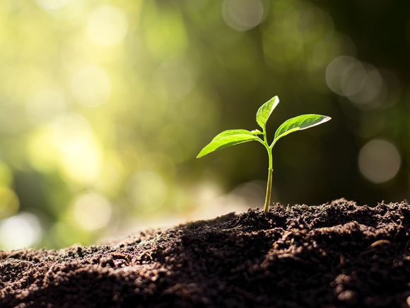 Greener Tomorrow – Our Commitment to Environmental Protection in Oil-Producing Communities